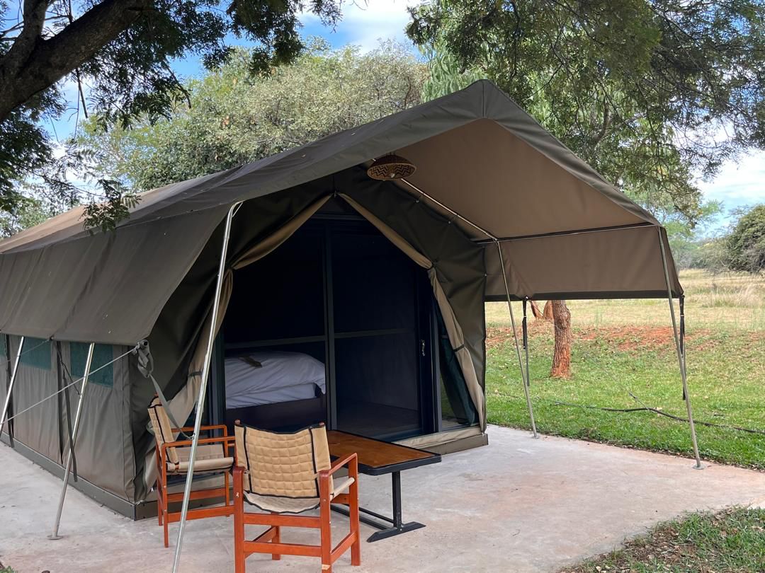Luxury Safari Tent
